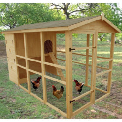 Poulailler en bois 16mm FSC non-teinté avec toit bitumé pour 8 à 12 poules – HABRITA