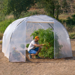 Serre tunnel de culture pieds droits 12m² - 3x4m - 200 microns RICHEL