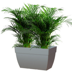 Jardinière Capri XL – H.40x80x40cm – Anthracite