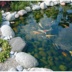 Pompe de bassin SMARTMAX 2500Fi - 2700L/h - Ubbink