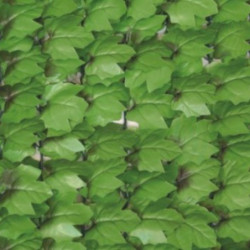 Haie artificielle duo de feuilles de lierre 1,5x3m - Jet7garden