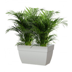 Jardinière Capri XL – 100x40xH.40cm – gris clair