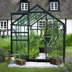 Serre de jardin 5m² en aluminium et verre trempé Popular - Halls
