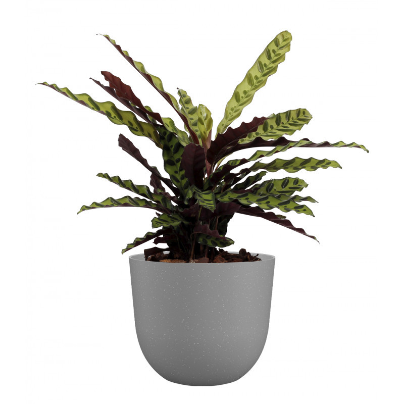 Pot Havana – 70x70xH.58,1cm – gris calcaire