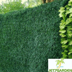 Haie végétale artificielle LUX 243 brins 1,5x3m - Jet7garden
