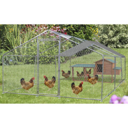 Enclos parc grillagé 18m² en acier galvanisé pour 8 à 20 poules – HABRITA