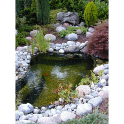Bassin de jardin préformé 1000L Start - Ubbink